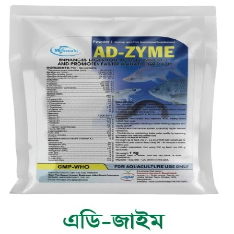 Enzyme with Gut Probiotics